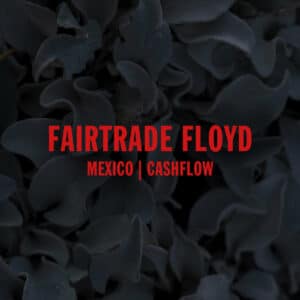 Cover - Mexico Cashflow - Fairtrade Floyd